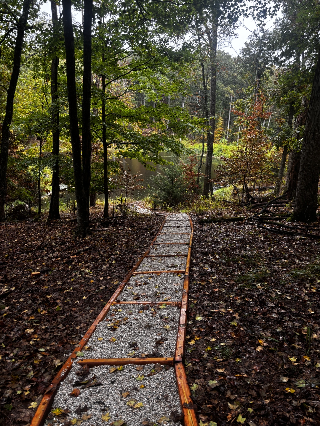 Custom timber and gravel walkway installation by Verdant Hills